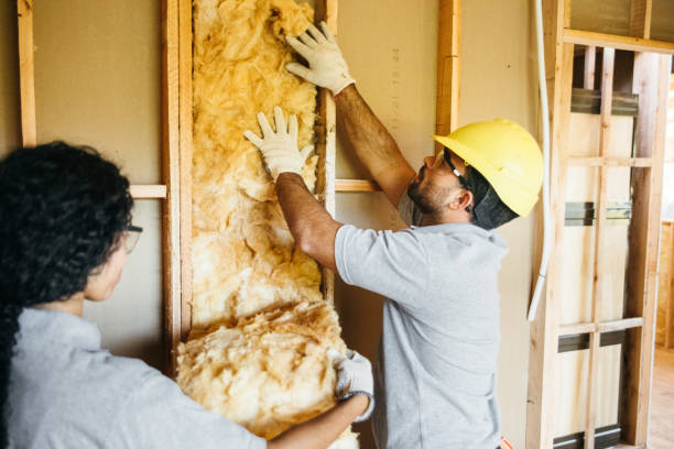 Professional Insulation Contractor in Northport, AL