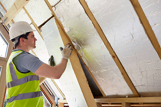 Insulation Repair Services in Northport, AL